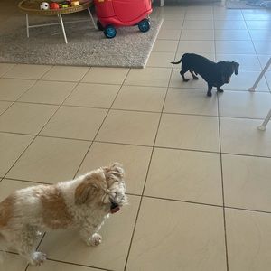 Meet your Posher, Deborah